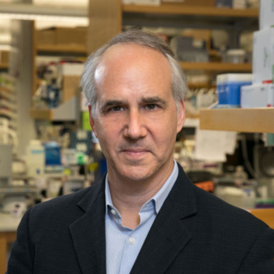 Daniel H. Geschwind, MD, PhD